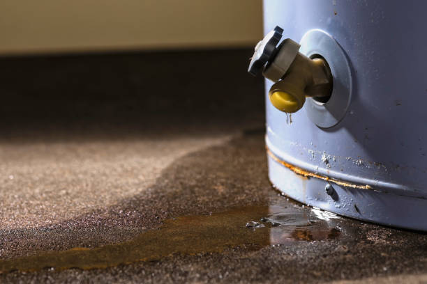 Best Flood damage cleanup  in Montecito, CA