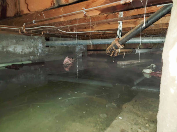 Best Water damage restoration cost  in Montecito, CA