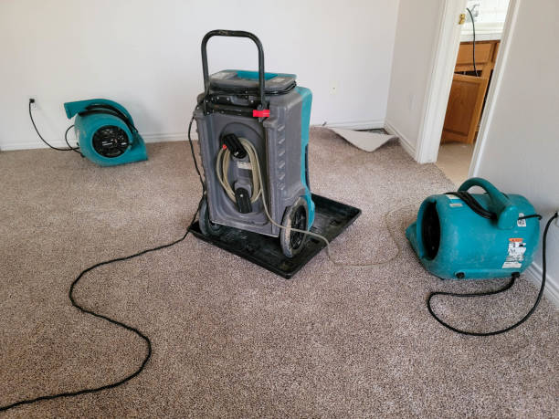 Best 24/7 water damage repair  in Montecito, CA