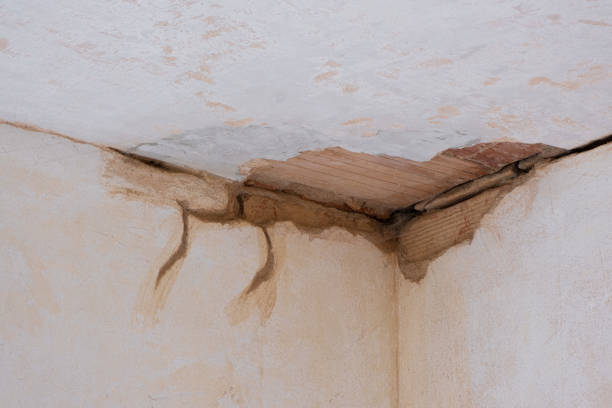 Best Flooded house restoration  in Montecito, CA