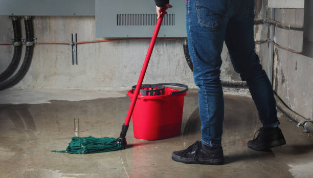 Best Basement water damage restoration  in Montecito, CA