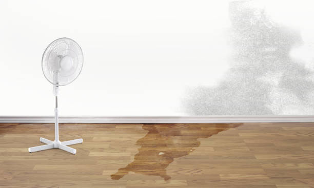 Best 24-hour water damage restoration  in Montecito, CA