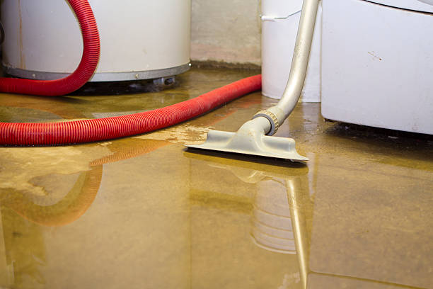 Best Water damage cleanup near me  in Montecito, CA