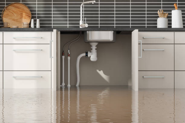 Best Water damage contractors near me  in Montecito, CA