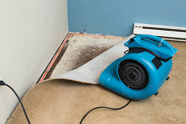 Best Water damage restoration process  in Montecito, CA